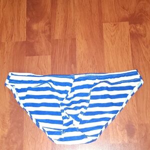 Blue and White Striped Bikini Bottom
